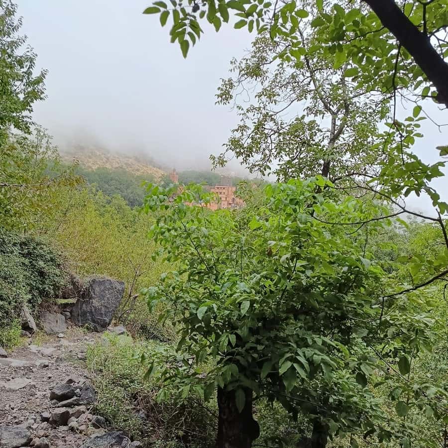 From Marrakech: Atlas Mountains Summit Trek - Who should book this Atlas Mountains trek?