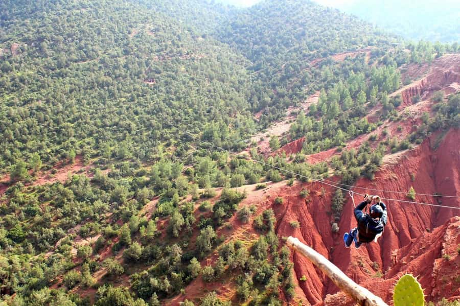 From Marrakech: Atlas Mountains Zip Line Tour Adventure - Four zip lines above the pine forest