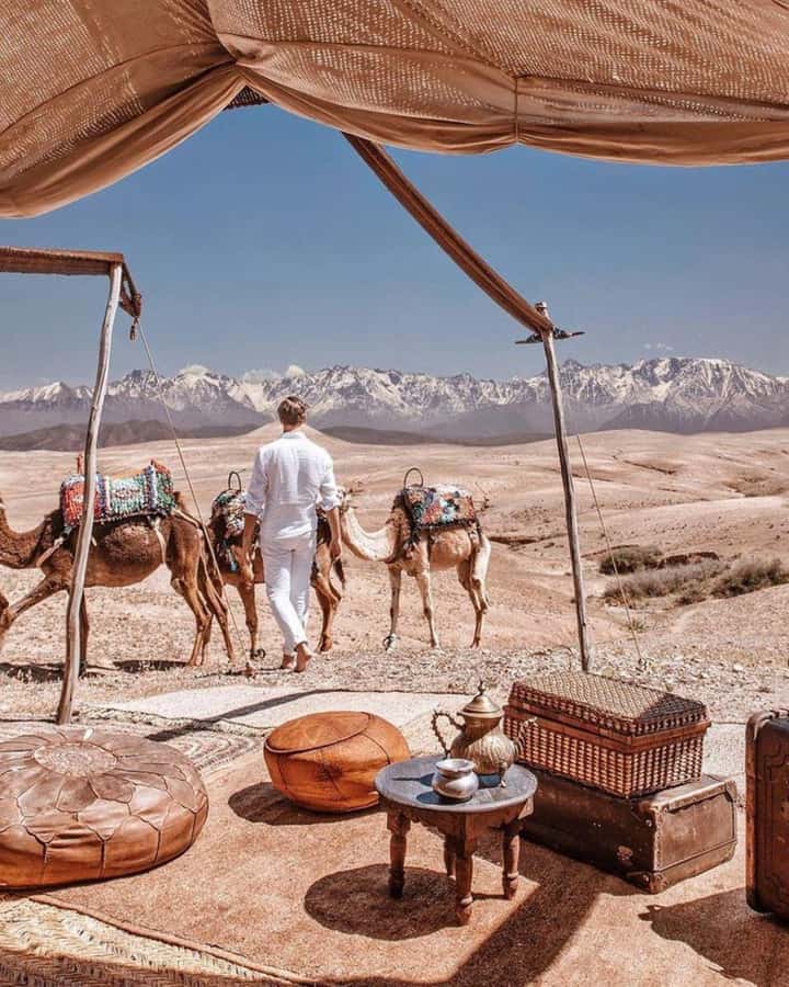 From Marrakech: Camel, Quad Bike Tour, Sunset, Dinner & Show - Key points to know before booking