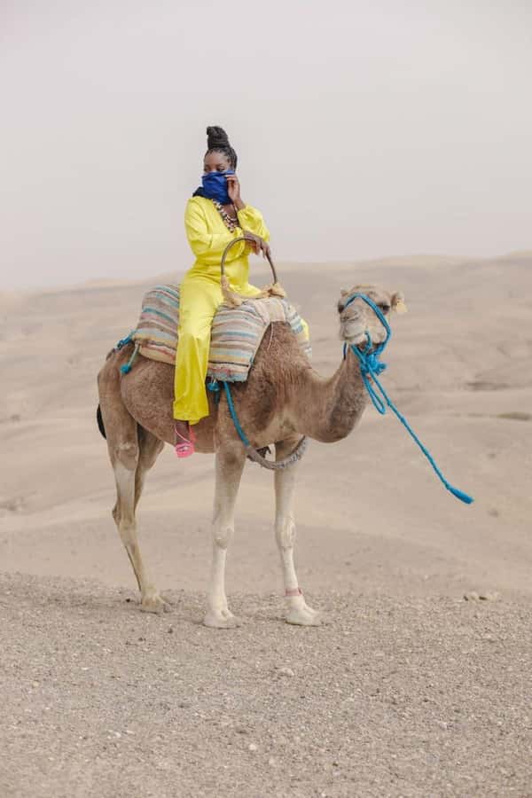 From Marrakech: Camel, Quad Bike Tour, Sunset, Dinner & Show - Why Agafay works as a short desert escape