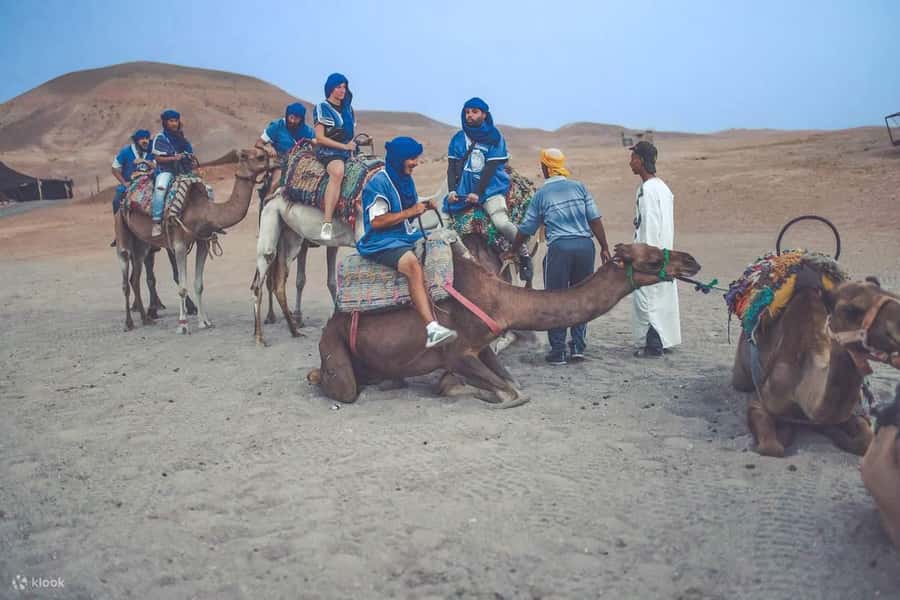 From Marrakech: Camel, Quad Bike Tour, Sunset, Dinner & Show - Argan oil cooperative stop