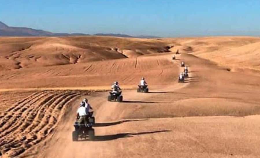 From Marrakech: Camel, Quad Bike Tour, Sunset, Dinner & Show - Gnawa music, dancing, and the fire show
