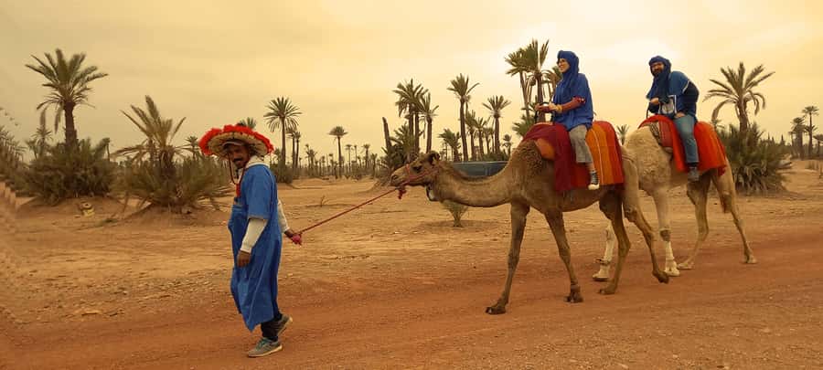 From Marrakech: Camel ride in the oasis palmeraie Grove - Getting dressed for the camel ride
