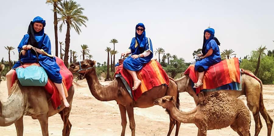 From Marrakech: Camel ride in the oasis palmeraie Grove - A Berber house and Moroccan mint tea