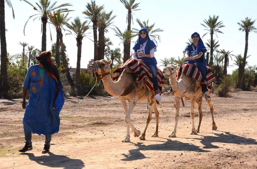 From Marrakech: Camel ride in the oasis palmeraie Grove - Is $18 good value?