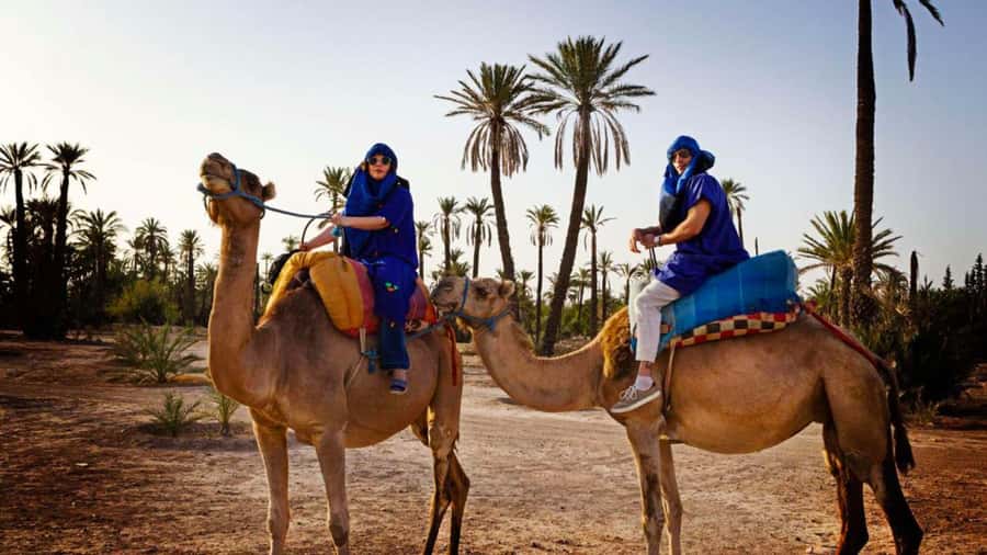 From Marrakech: Camel ride in the oasis palmeraie Grove - Hotel pickup and the ride out of Marrakech