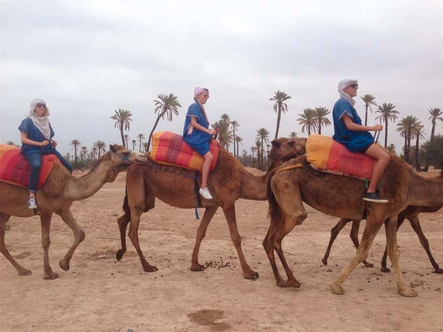 From Marrakech: Camel Ride, Quad Bike & Spa Full-Day Trip - Why this day works so well in Marrakech