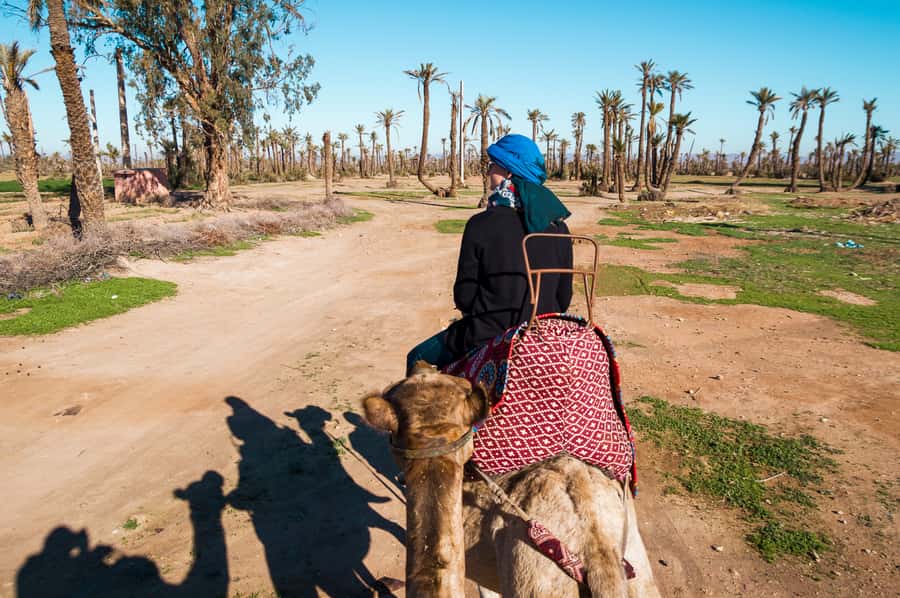 From Marrakech: Camel Ride, Quad Bike & Spa Full-Day Trip - Pickup and the short ride to the Palmeraie