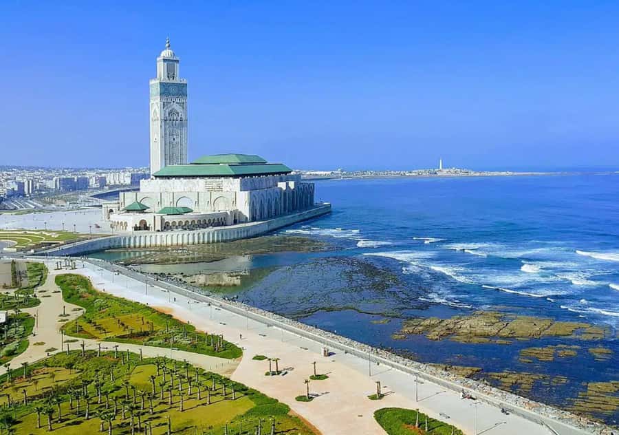 From Marrakech: Casablanca Tour with Hassan II Mosque Visit - Lunch in Casablanca and what to expect