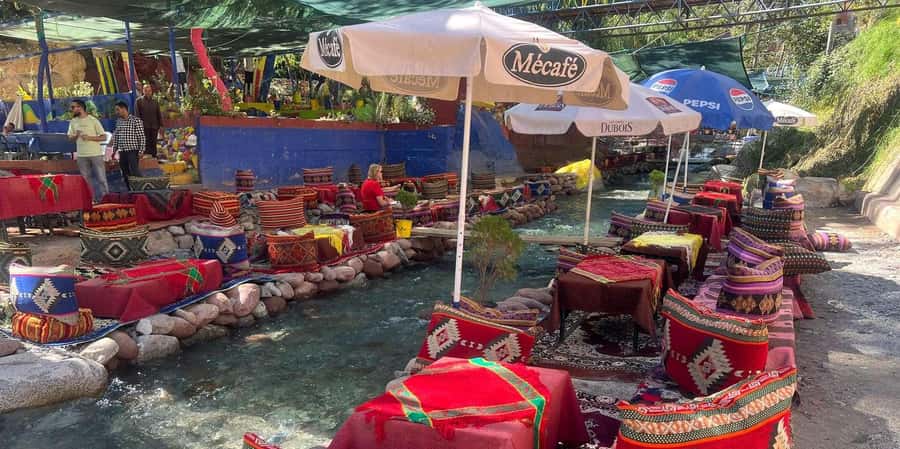 From Marrakech: Day Trip Ourika Valley, High Atlas Mountains - The Berber women’s argan oil cooperative