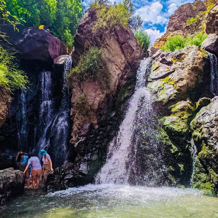 From Marrakech: Day Trip to Anima Garden and Imlil Valley - Who should book this day trip?