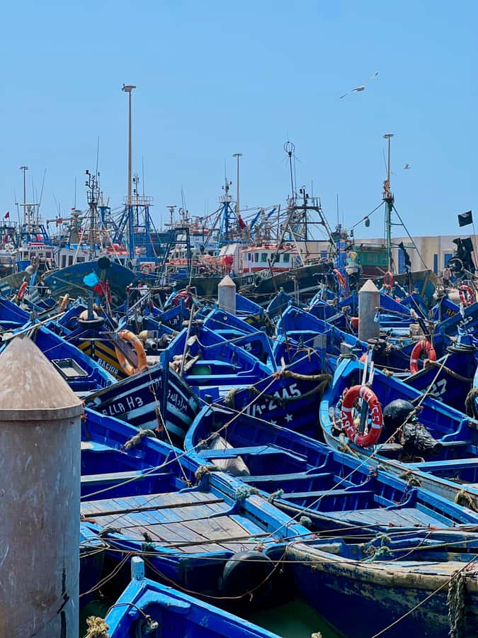 From Marrakech: Day Trip to Essaouira with Transfers - Key points at a glance