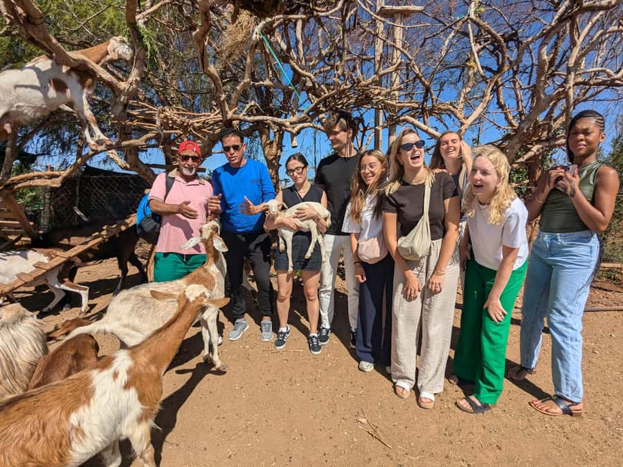 From Marrakech: Day Trip to Essaouira with Transfers - Four hours inside the Essaouira medina