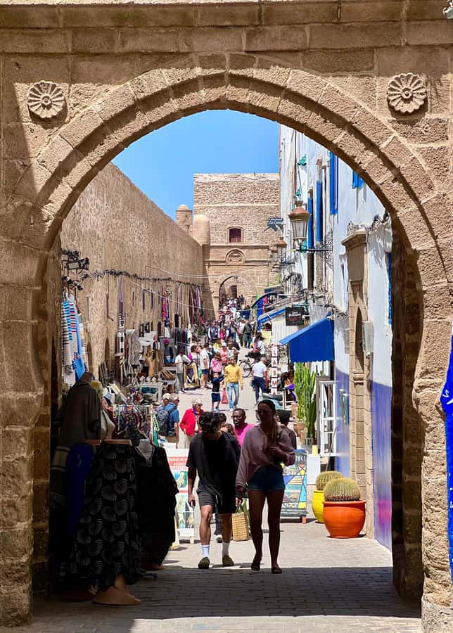 From Marrakech: Day Trip to Essaouira with Transfers - Is the $15 price good value?