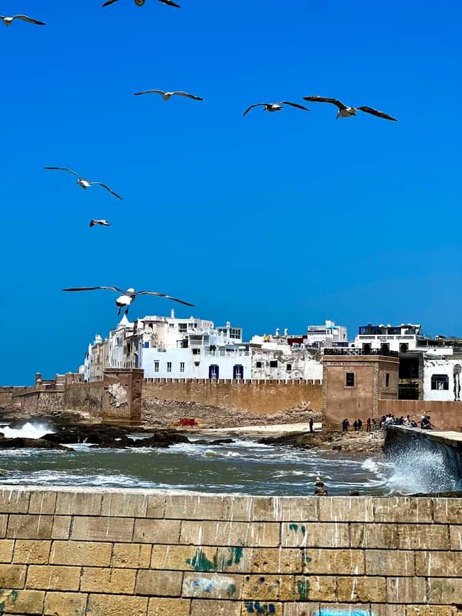 From Marrakech: Day Trip to Essaouira with Transfers - The 8 am pickup and the long road west