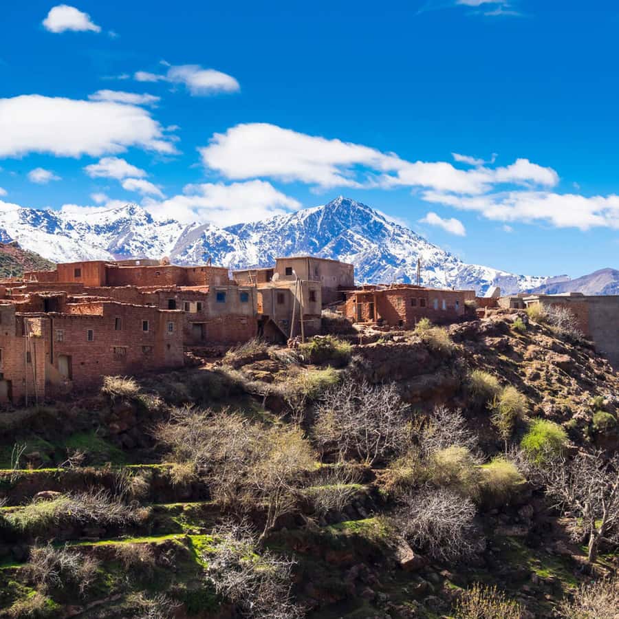 From Marrakech: Day Trip to Ourika Valley with Waterfalls - Seeing argan oil made by hand