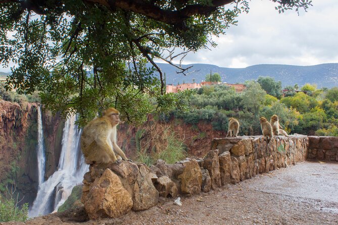 From Marrakech: Day trip to Ouzoud waterfalls and boat tour - The three-hour road through rural Morocco