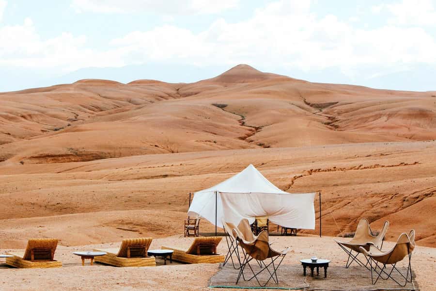 From Marrakech: Dinner show in Agafay Desert & Sunset Quad - At a glance: what makes this Agafay evening worthwhile