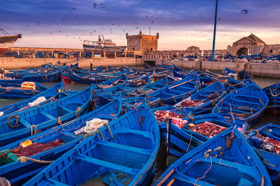 From Marrakech: Essaouira & Atlantic Coast Full-Day Trip - How much time do you really get?