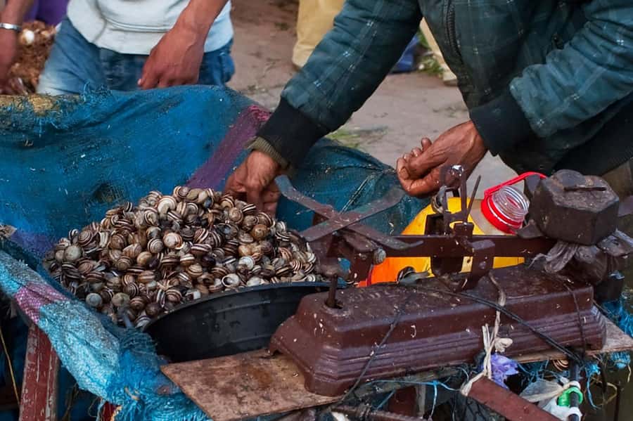 From Marrakech: Essaouira & Atlantic Coast Full-Day Trip - Is the $27 price good value?