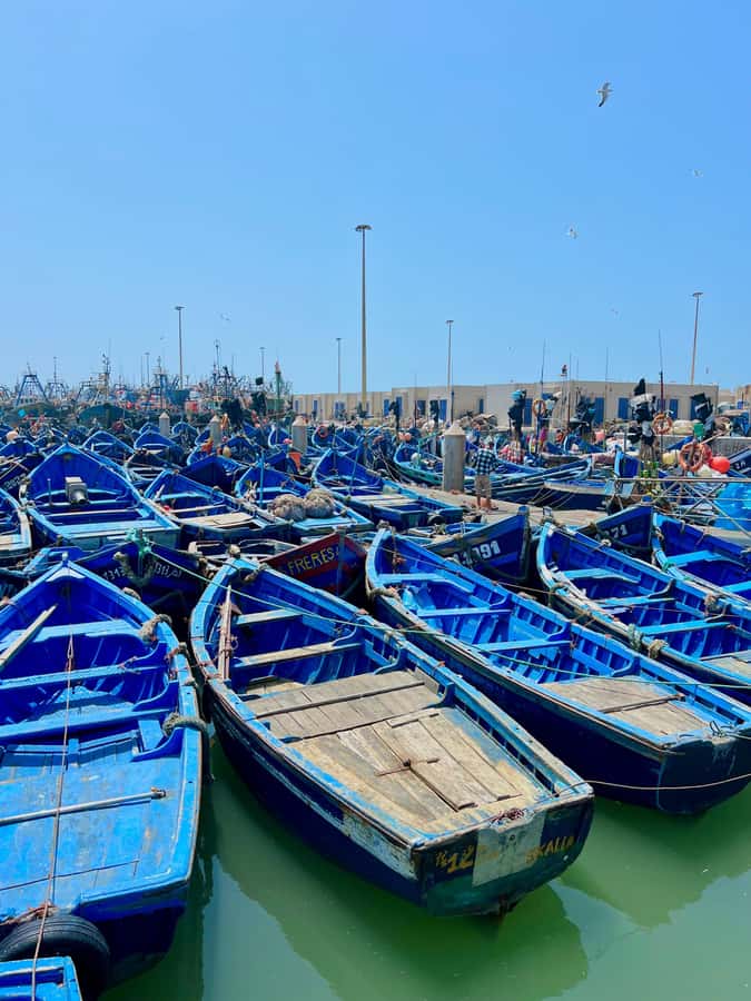 From Marrakech: Essaouira Coastal City Day Trip - Is four hours enough for Essaouira?