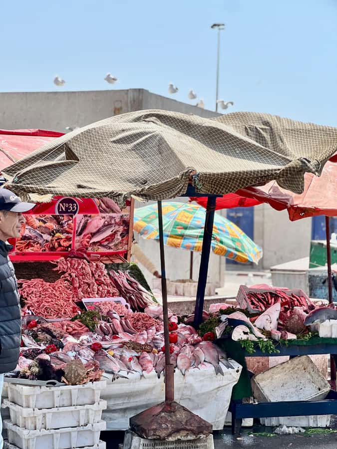 From Marrakech: Essaouira Coastal City Day Trip - Guides, drivers, and the human side of the trip