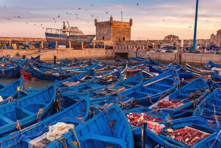 From Marrakech: Essaouira Coastal Escape with Lunch - Why Essaouira Makes a Good Change from Marrakech