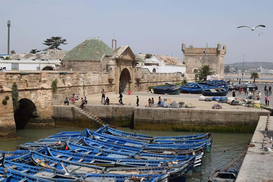 From Marrakech: Essaouira Coastal Escape with Lunch - Transport, Guides, and the Shared-Tour Trade-Off
