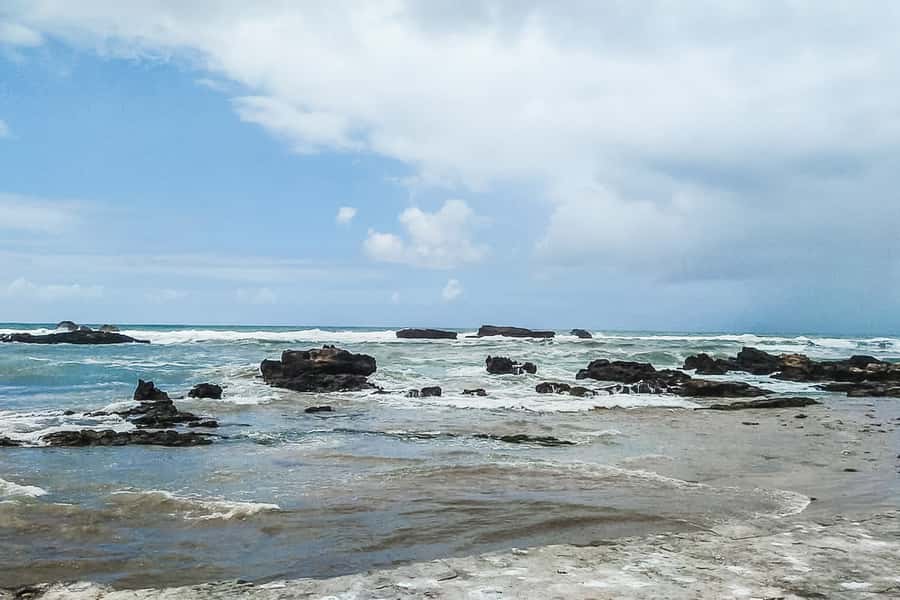 From Marrakech: Essaouira Day Tour with Optional Activities - The argan oil cooperative stop