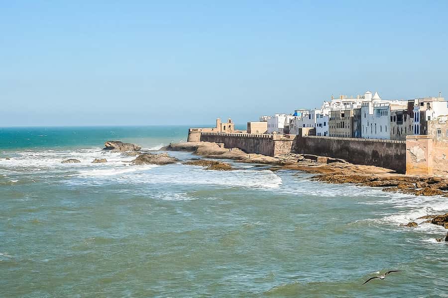 From Marrakech: Essaouira Day Tour with Optional Activities - Arrival in Essaouira: make the port your first stop