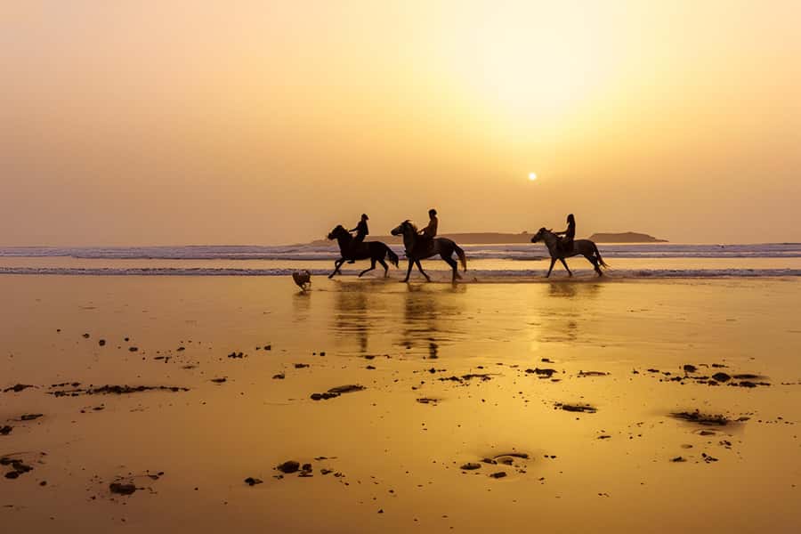 From Marrakech: Essaouira day Trip with camel, horse & quad - Five hours around the Essaouira Medina