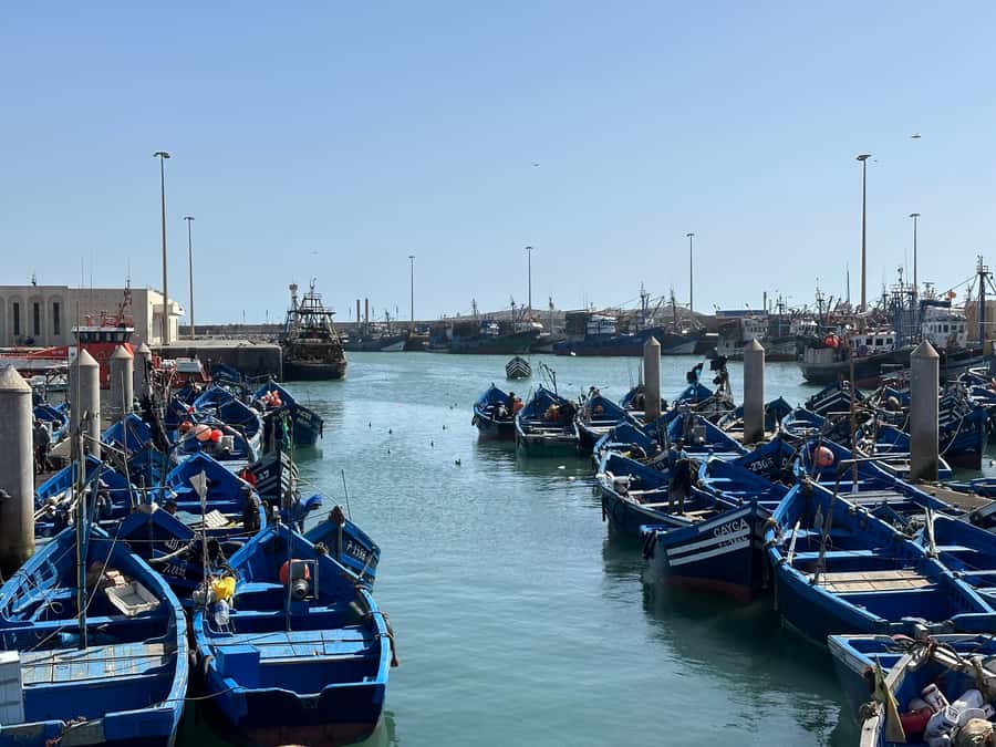 From Marrakech: Essaouira day Trip with camel, horse & quad - The Marrakech pickup and shared minibus ride