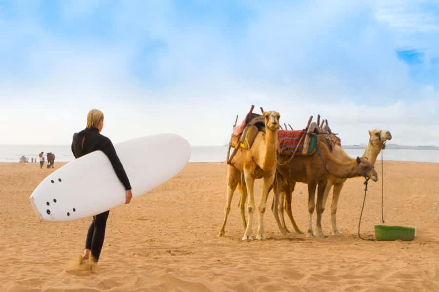 From Marrakech: Essaouira Day Trip with Hotel Pickup - The morning ride through Haouz and Chichaoua