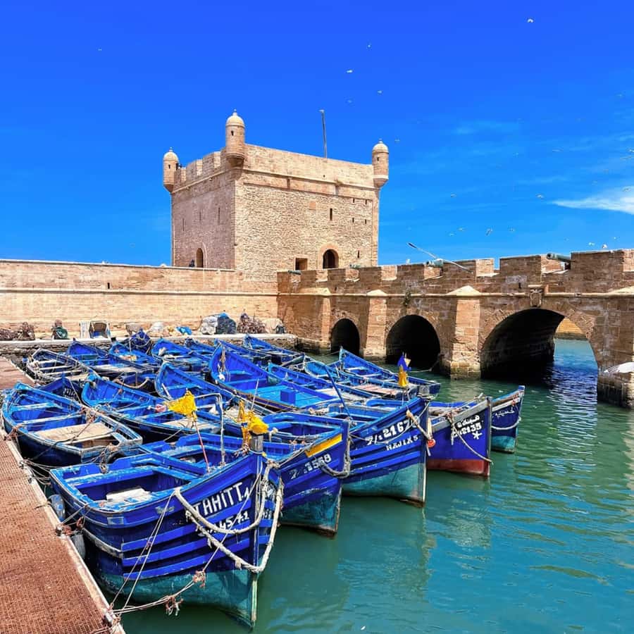 From Marrakech: Essaouira Full day trip, beach and History - Key points to know before booking