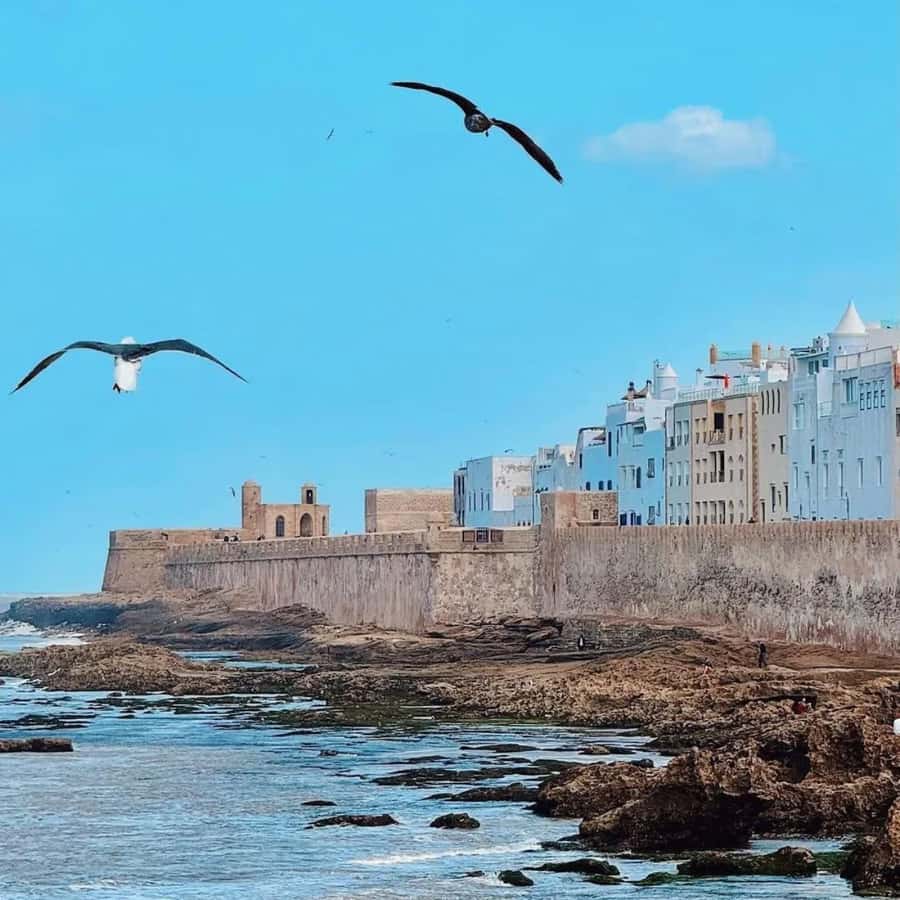 From Marrakech: Essaouira Full day trip, beach and History - Transport, language, and practical comfort