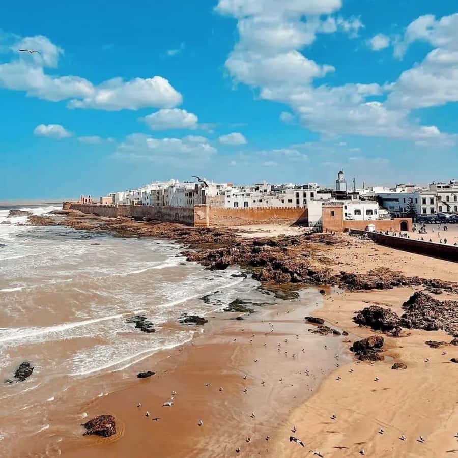 From Marrakech: Essaouira Full day trip, beach and History - The fishing port and seafood market