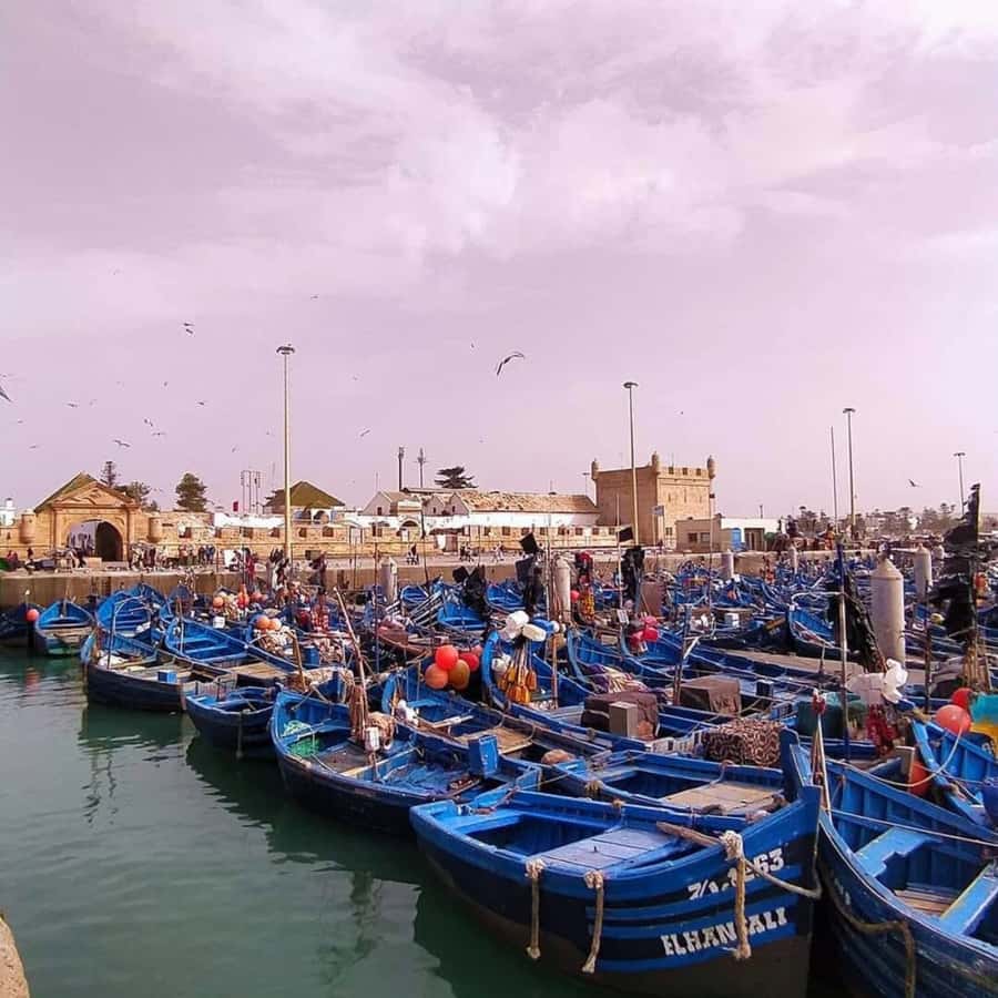 From Marrakech: Essaouira Full day trip, beach and History - Walking the ramparts above the Atlantic