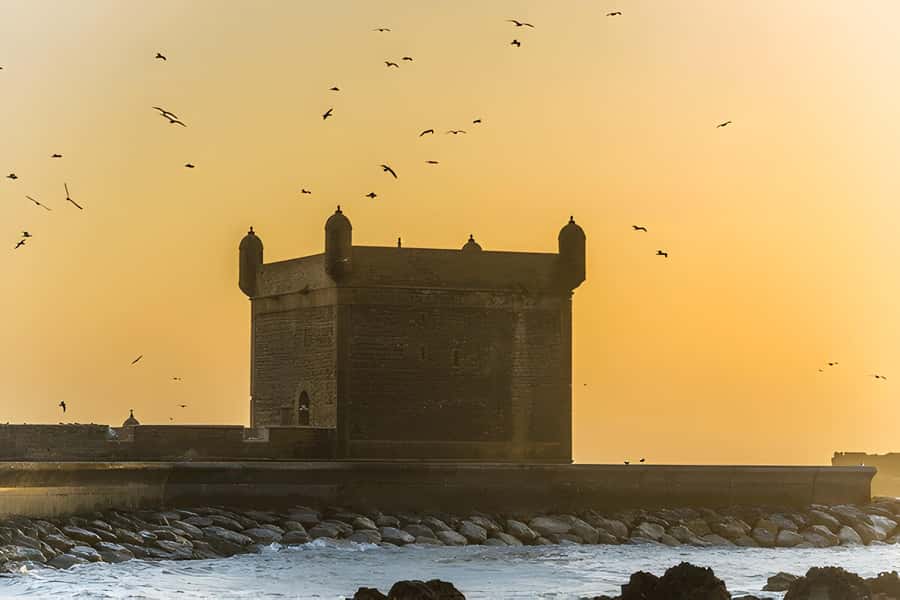 From Marrakech: Essaouira Full-Day Trip with Activities - Ramparts and Portuguese fortifications