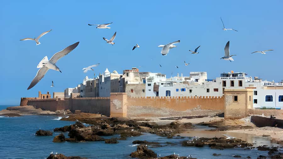 From Marrakech: Essaouira Private Full-Day Trip - Key points to know before booking