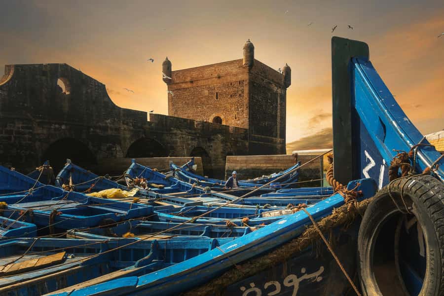From Marrakech: Essaouira Private Full-Day Trip - Skala Harbour, fortresses, and the Atlantic edge