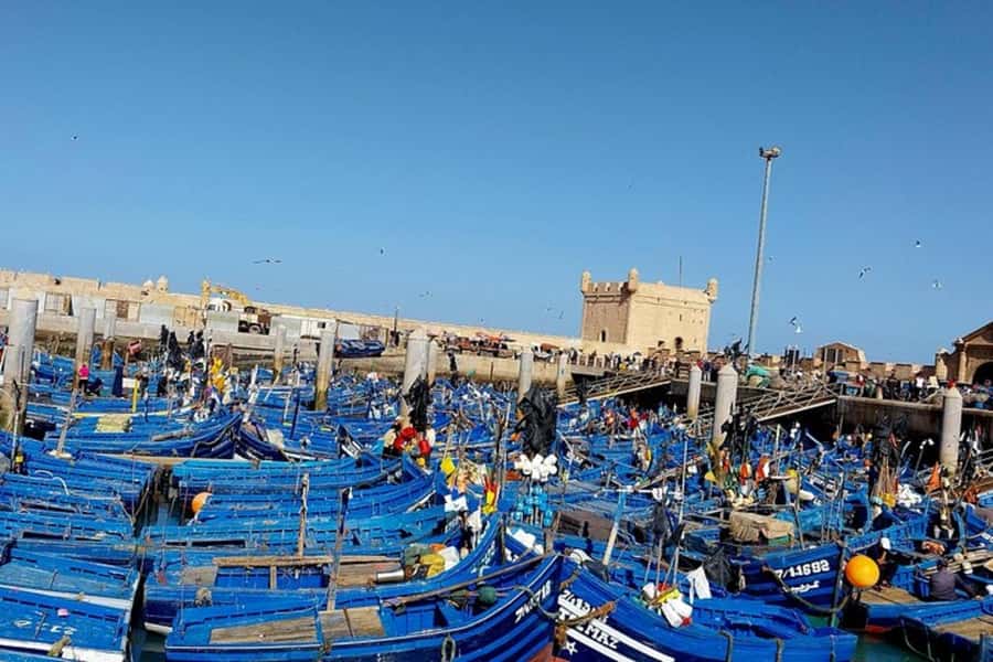 From Marrakech: Essaouira Private Full-Day Trip - Argan trees and the changing Moroccan countryside