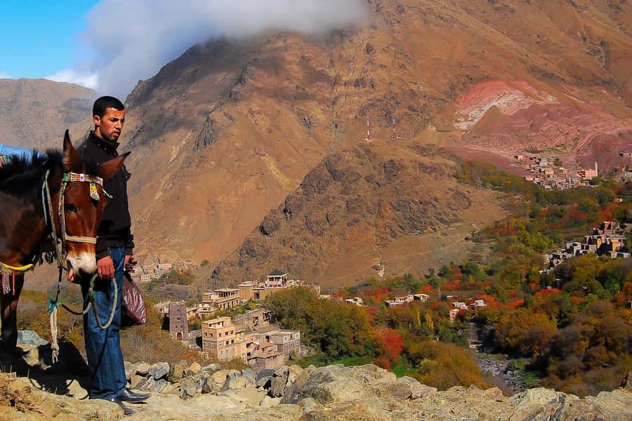 From Marrakech: Full-Day Atlas Mountain Berber Tour - Leaving Marrakech for the High Atlas