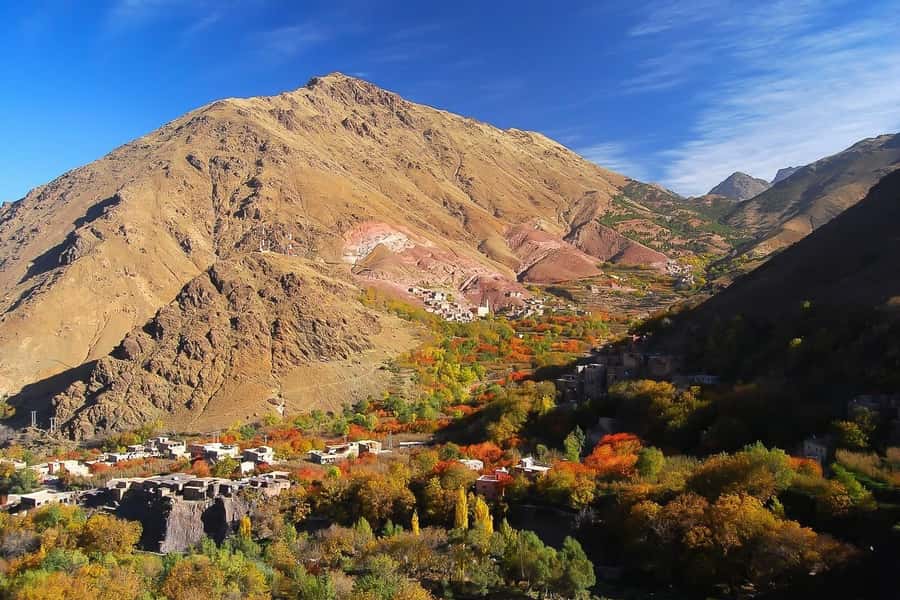 From Marrakech: Full-Day Atlas Mountain Berber Tour - Tahnaout and the argan oil cooperative