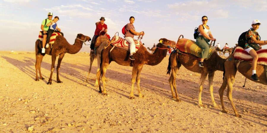 From Marrakech: Full-Day in the Atlas Mountains with Lunch - The price and what you really receive
