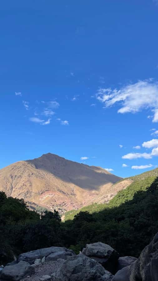 From Marrakech: Full-Day in the Atlas Mountains with Lunch - Who will enjoy this Atlas Mountains day?