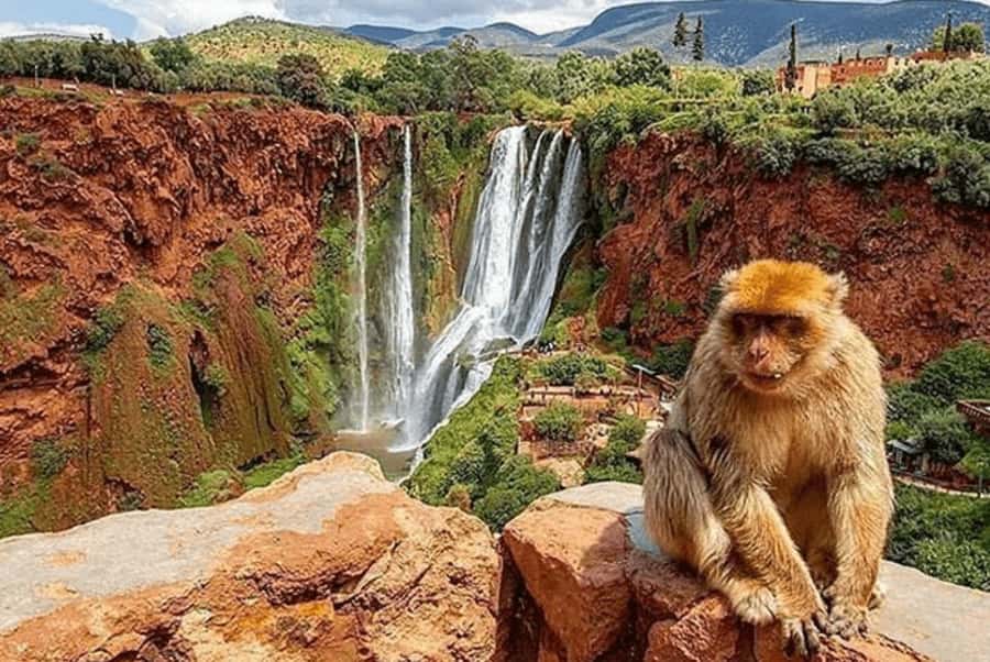 From Marrakech: Guided Ouzoud Waterfalls Tour with Boat Ride - Arriving at the 110-meter Ouzoud Falls