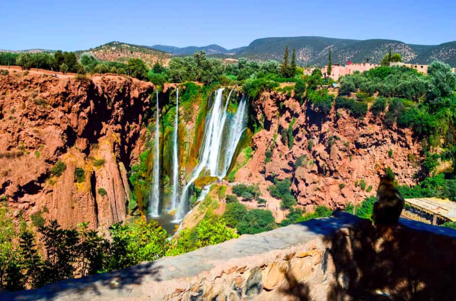 From Marrakech: Guided Ouzoud Waterfalls Tour with Boat Ride - What the local guide adds
