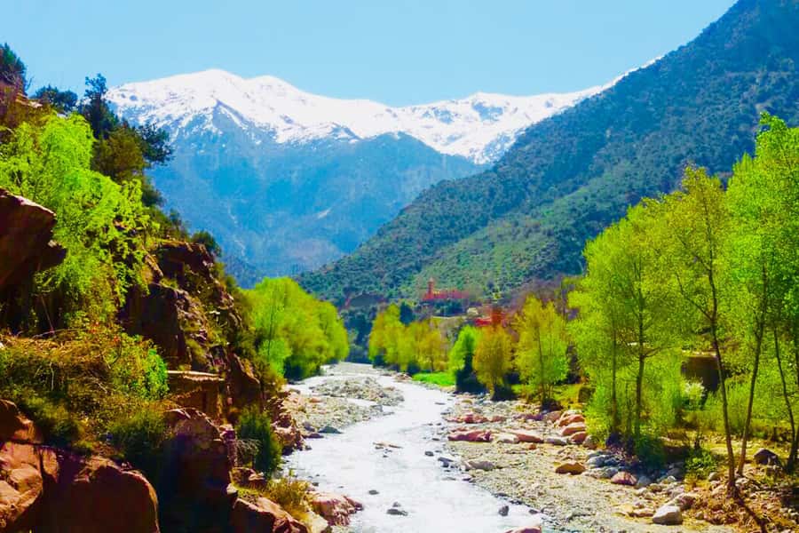 From Marrakech: Half-Day Tour to Atlas Mountains & Ourika - Five things to know before you go