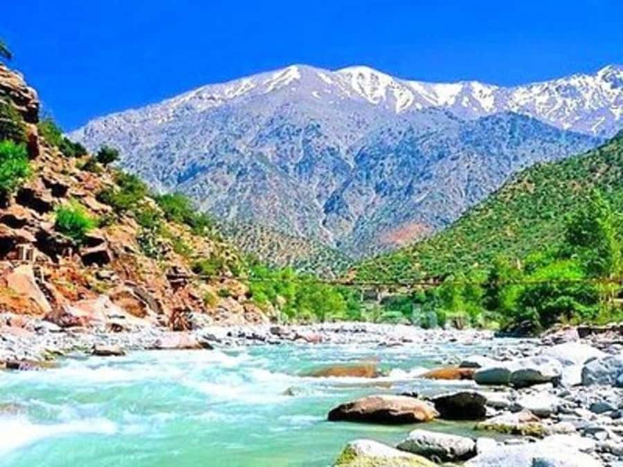 From Marrakech: Half-Day Tour to Atlas Mountains & Ourika - The café option for a gentler mountain day