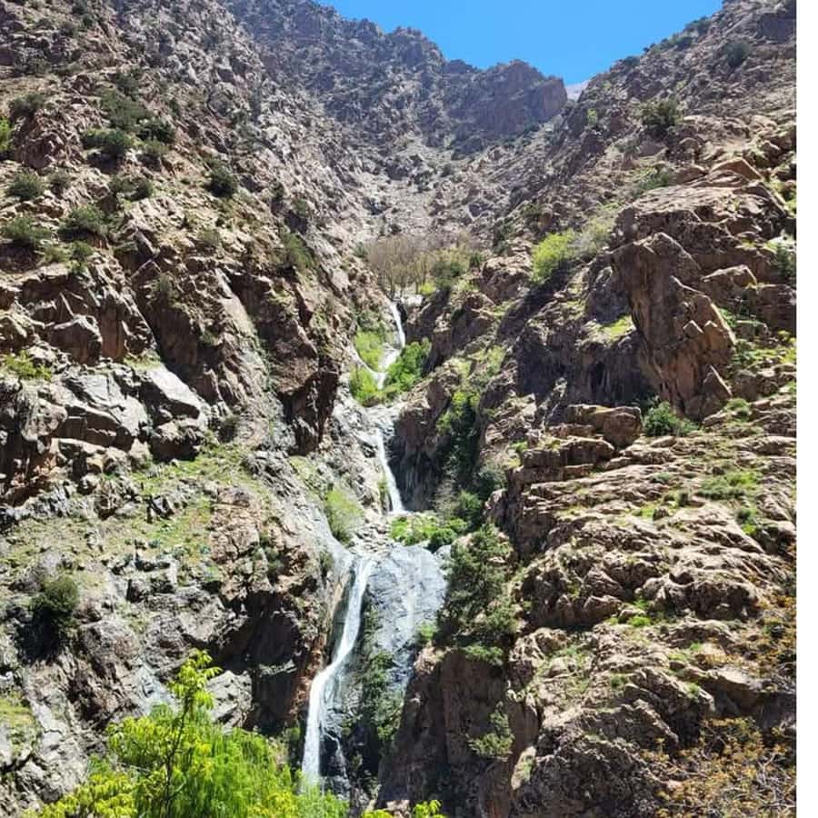 From Marrakech: Half-Day Tour to Atlas Mountains & Ourika - Breakfast at the argan oil cooperative